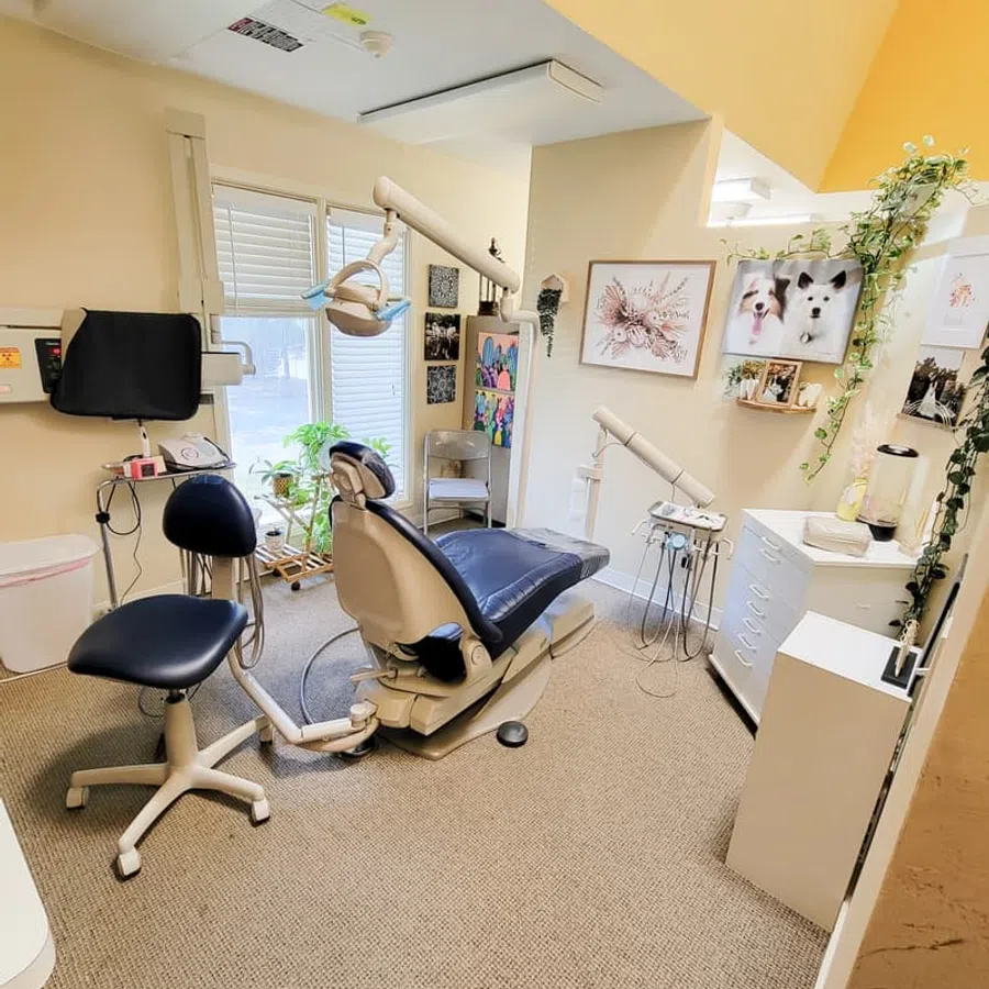 Bright dental office with a patient chair, equipment, indoor plants, and wall art featuring dogs and floral designs.