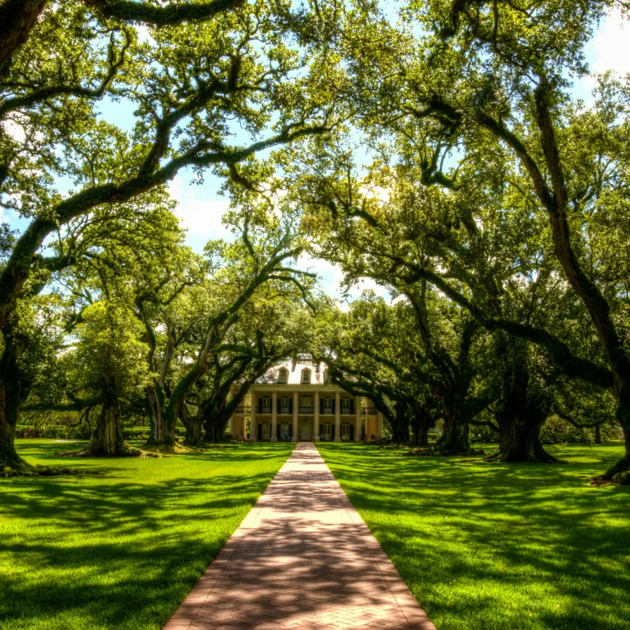 a path leading to a building