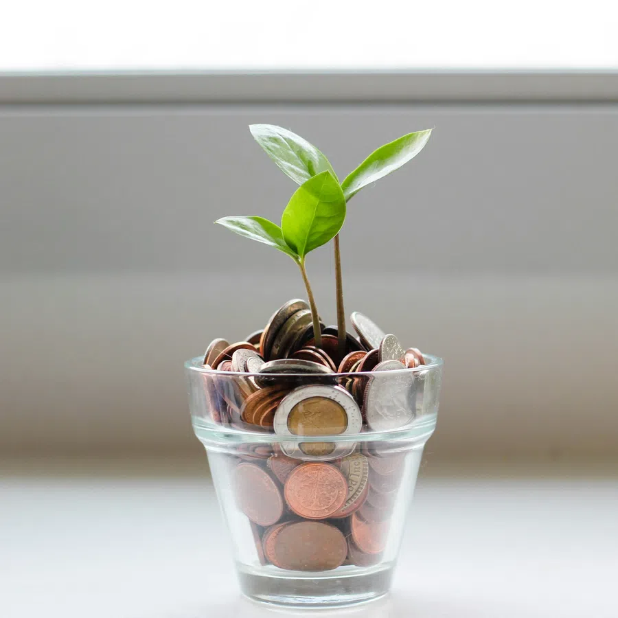Small green plant growing from glass filled with assorted coins symbolizing financial growth and investment.
