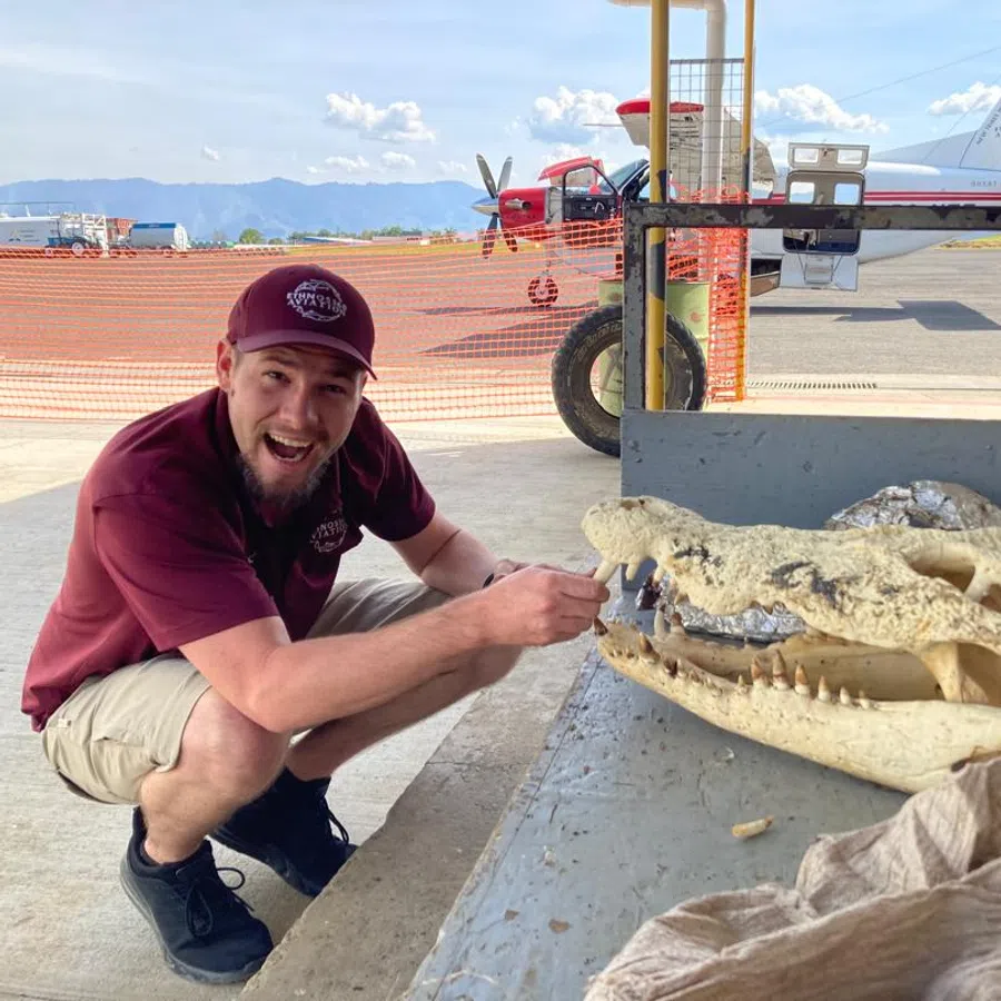 Man in maroon cap and shirt squatting by large alligator skull on a table near a small airplane on runway