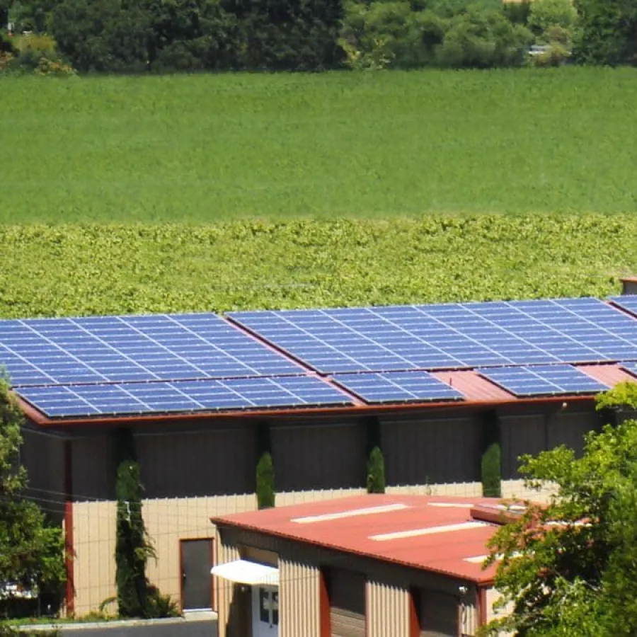 a group of solar panels