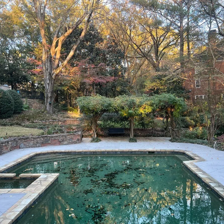 Backyard pool surrounded by stone patio, trees with autumn leaves, and a pergola with green vines in late afternoon light