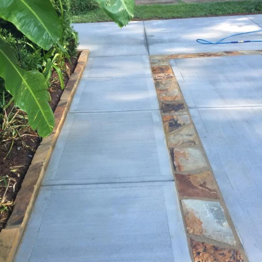 a walkway with plants and grass