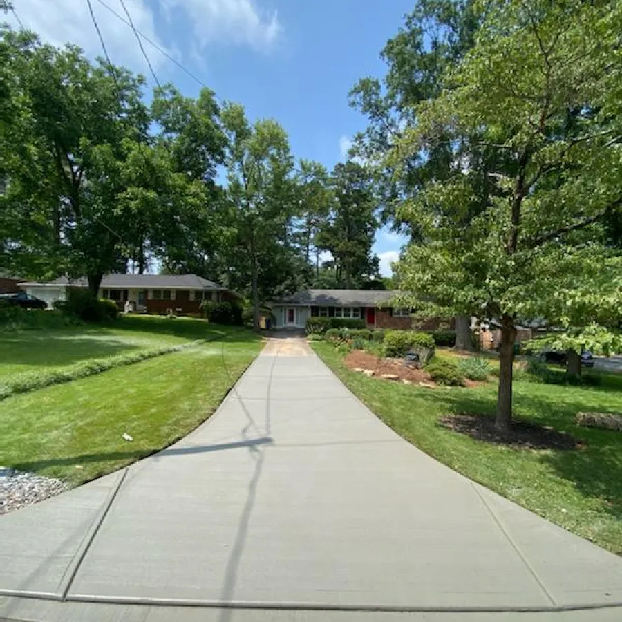 a paved path with trees and grass