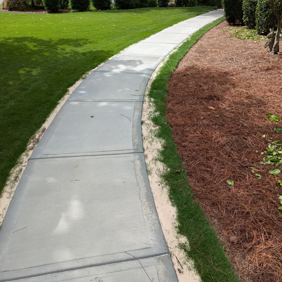 a sidewalk with grass and trees