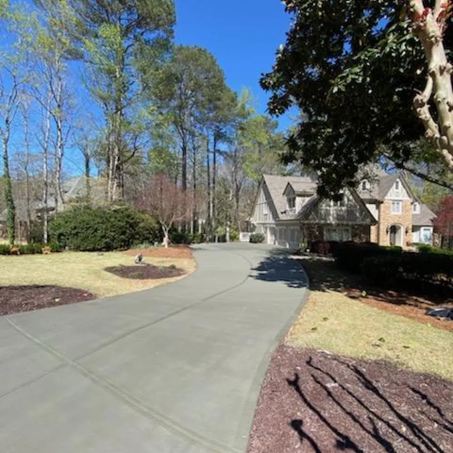 a road with trees and houses on the side