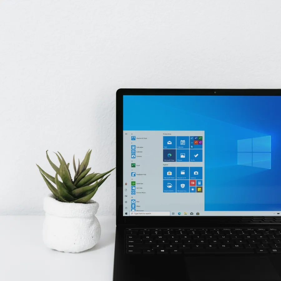 a laptop and a potted plant