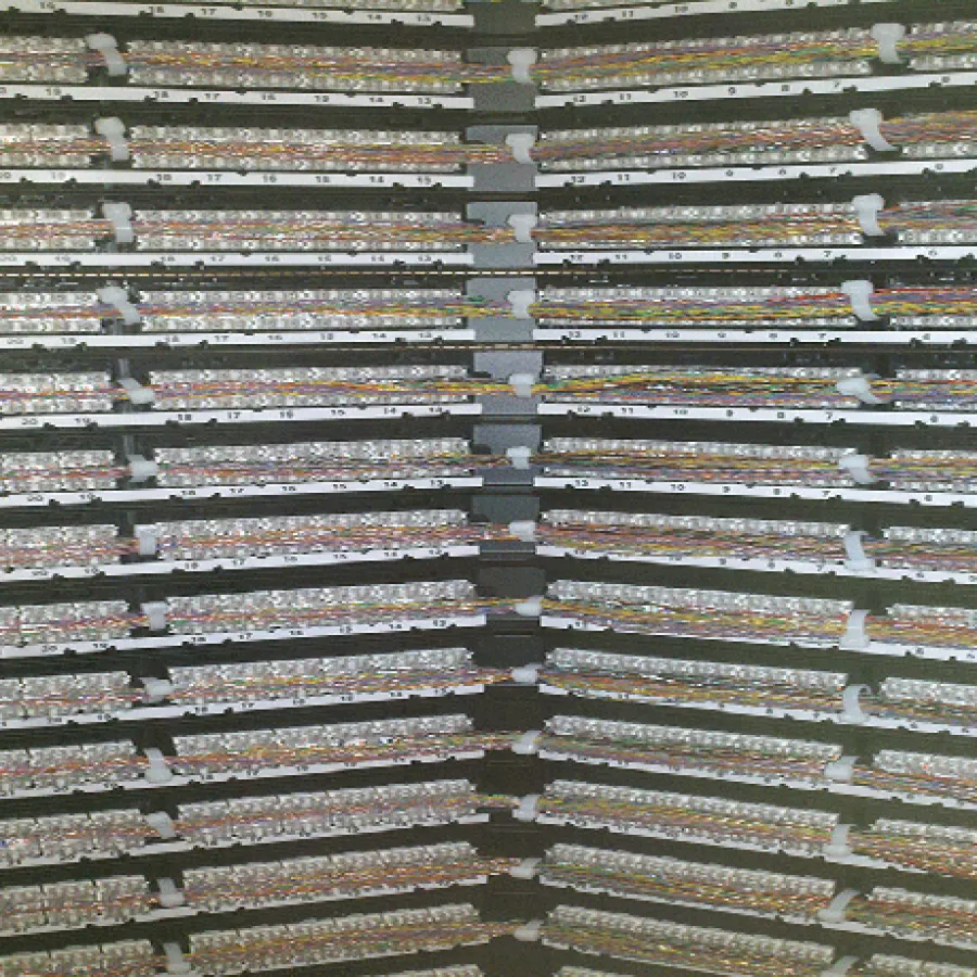 Close-up of densely packed network cables organized in labeled rows inside a server rack panel.