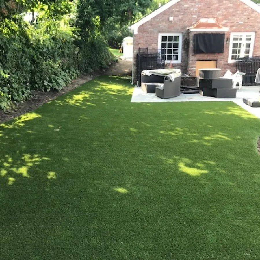 a yard with a green lawn