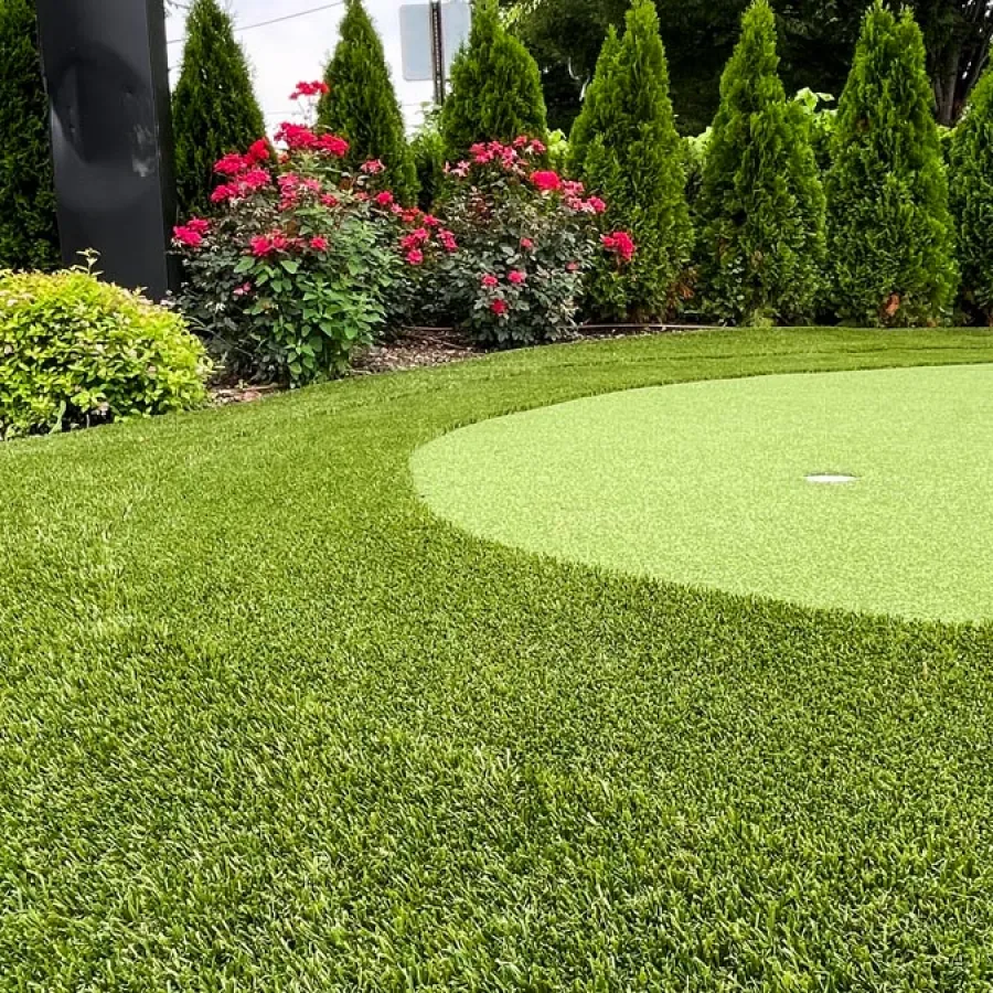 a large green lawn with trees and bushes around it