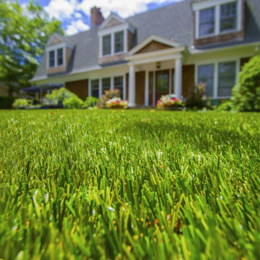 a house with a lawn in front of it