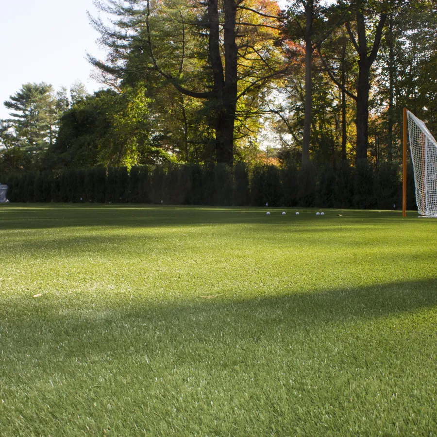 Empty lacrosse field with goal and balls on green grass surrounded by trees and fenced yard in daylight.