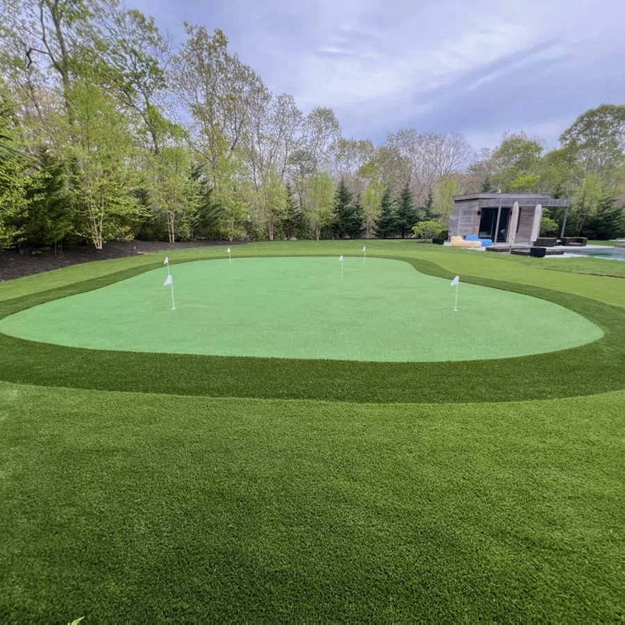 Residential backyard with artificial grass putting green featuring multiple golf holes and flags, surrounded by trees and modern house.