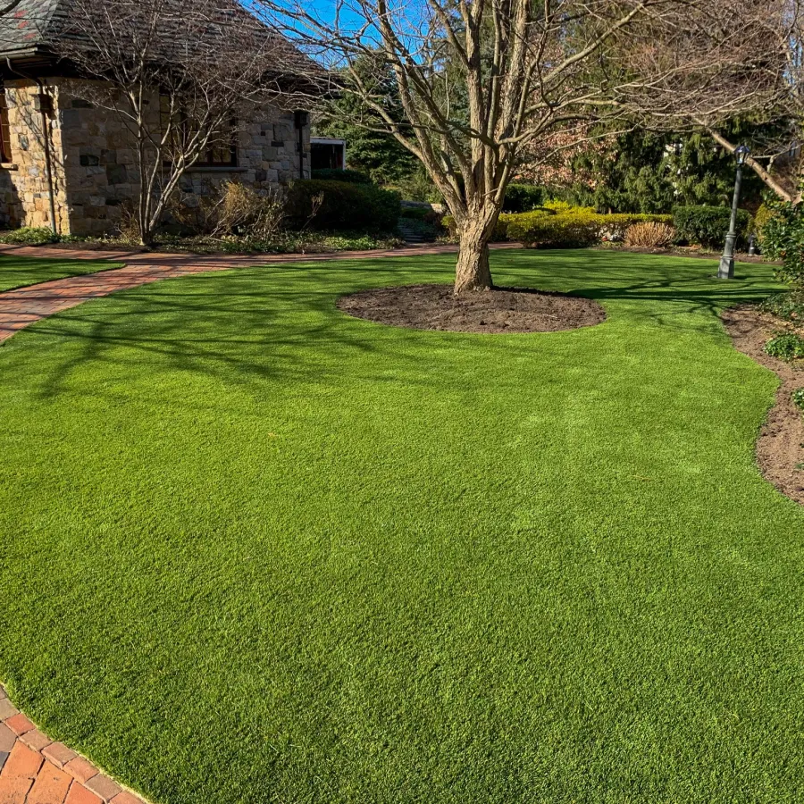 a large green lawn