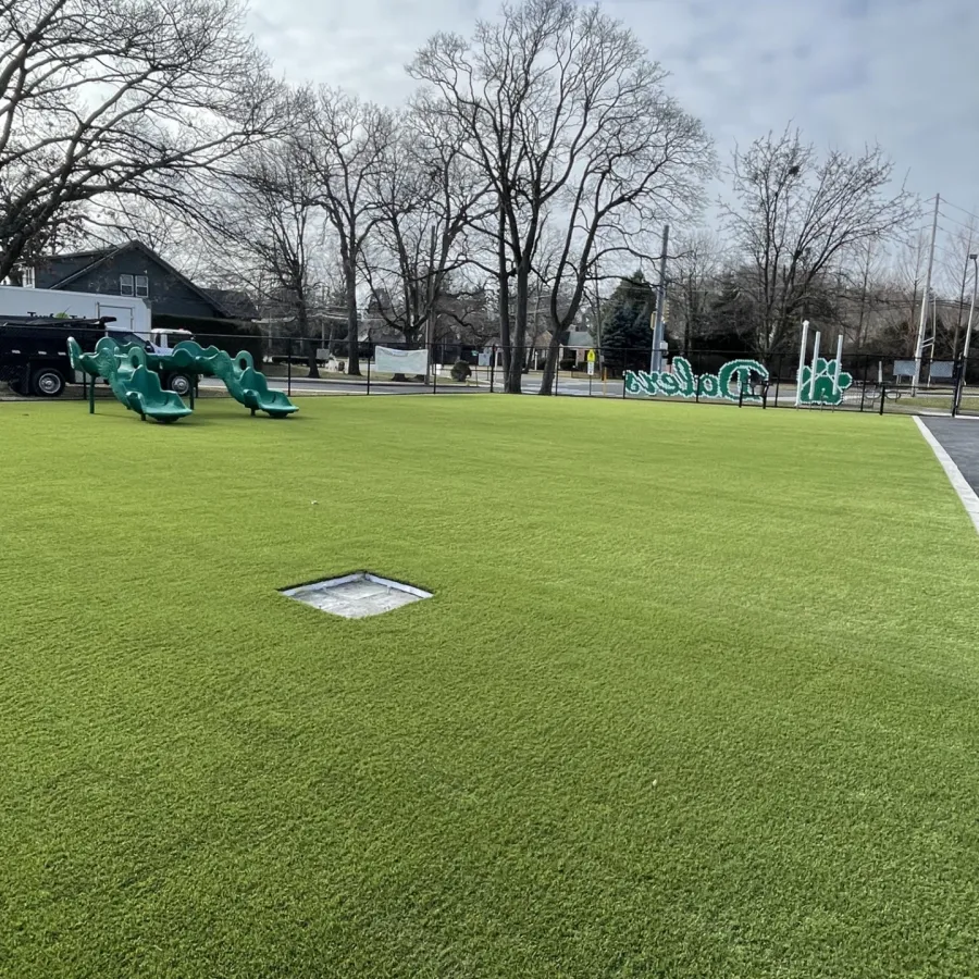 a grassy area with trees in the background