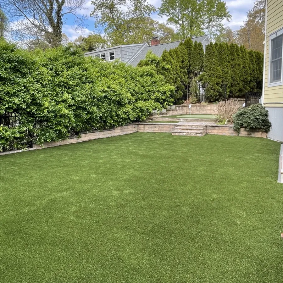 a lawn with trees and bushes