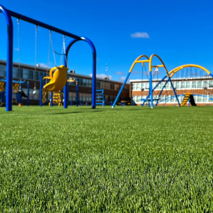 a playground with a slide
