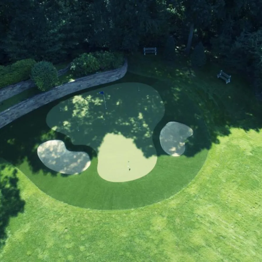 a pool of water surrounded by trees