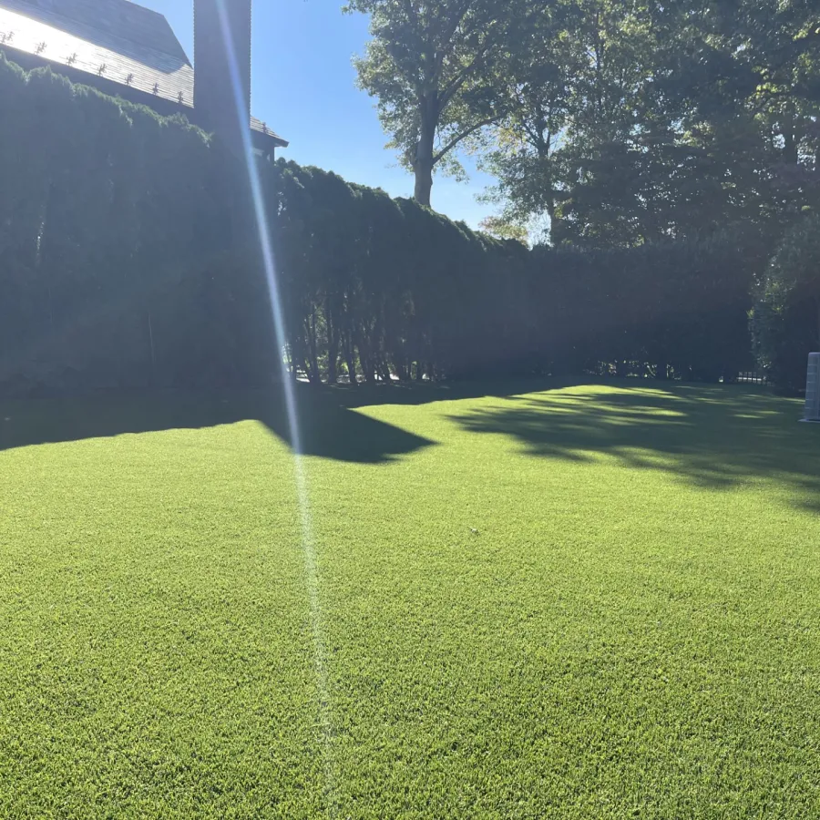 a grassy area with trees in the background