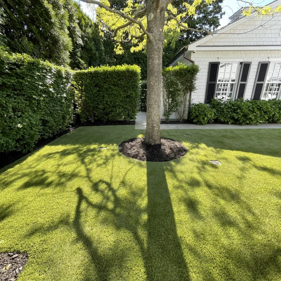 a person's shadow on a lawn in front of a house