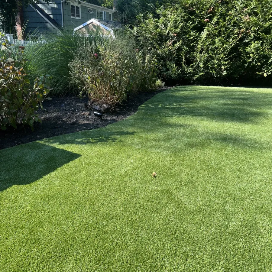 a bird on a lawn