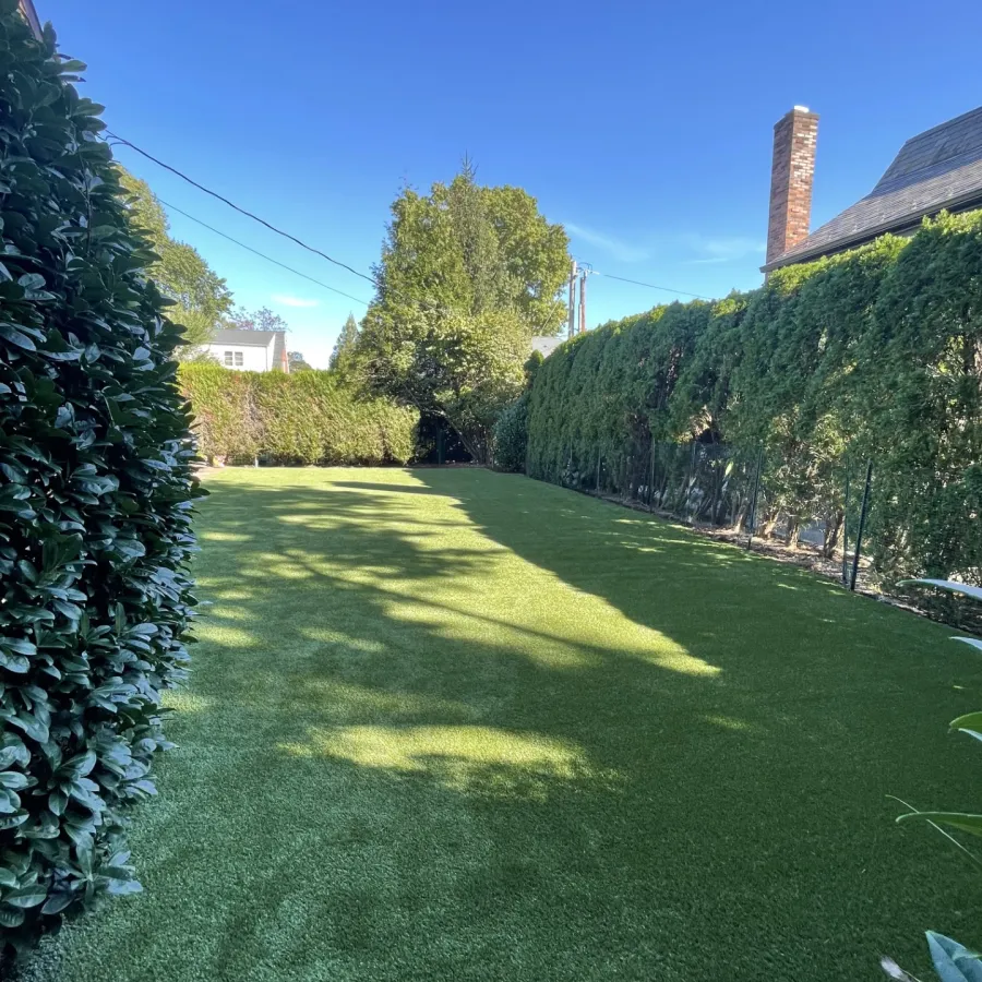 a grassy area with trees and buildings in the background
