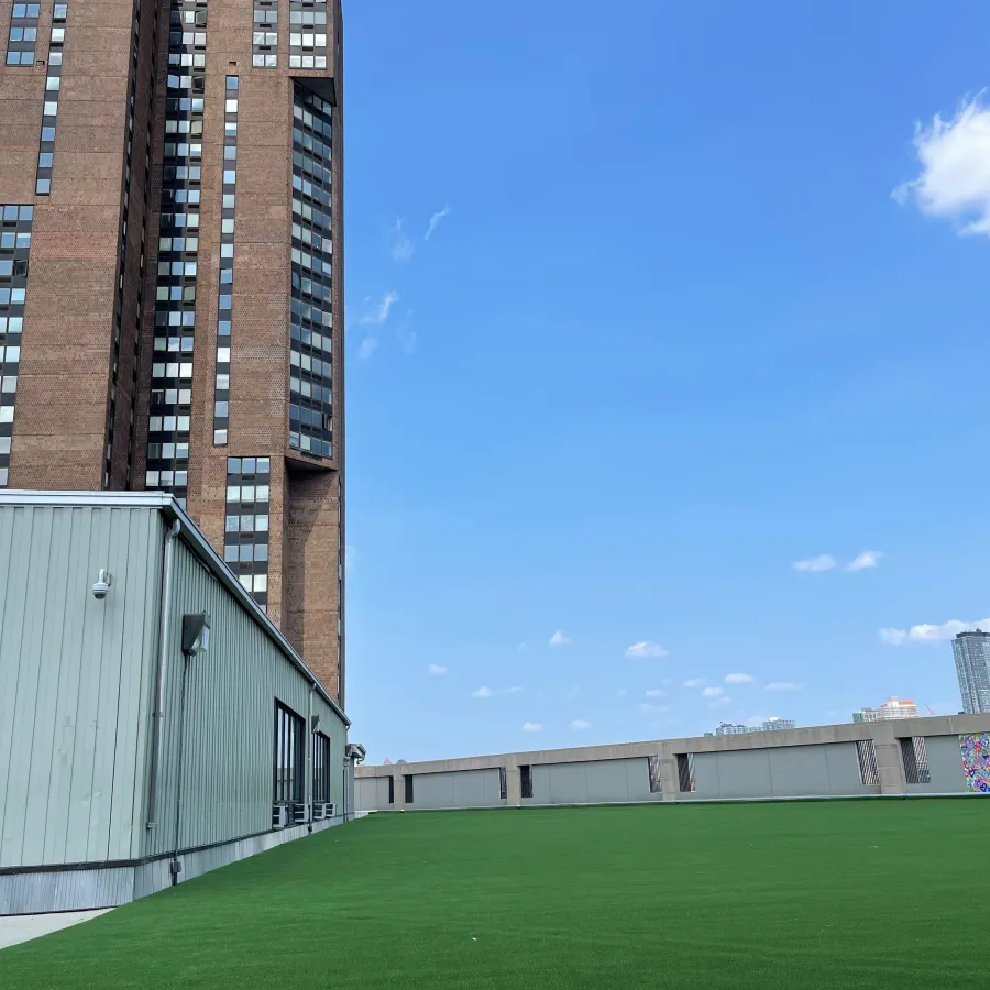 a grassy area with buildings in the background