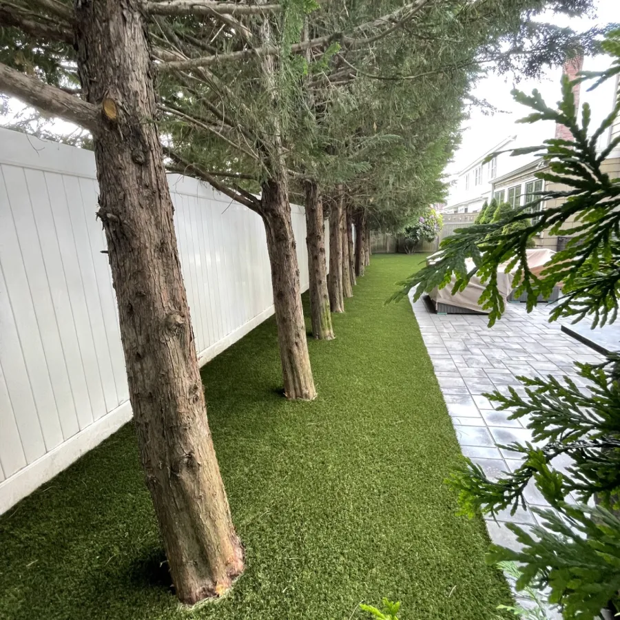 a backyard with trees and grass