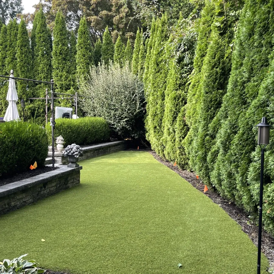 a green lawn with bushes and trees