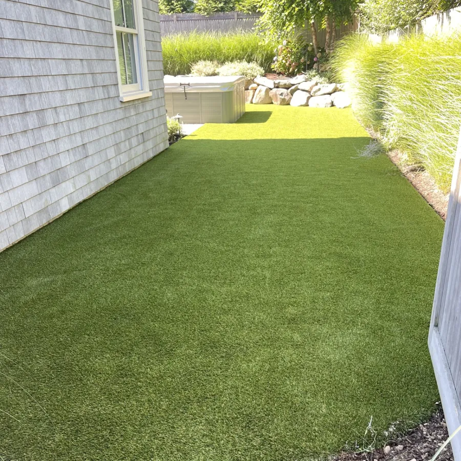 a backyard with a green lawn