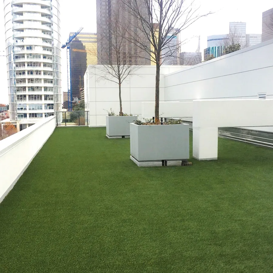 a grassy area with trees and buildings in the background