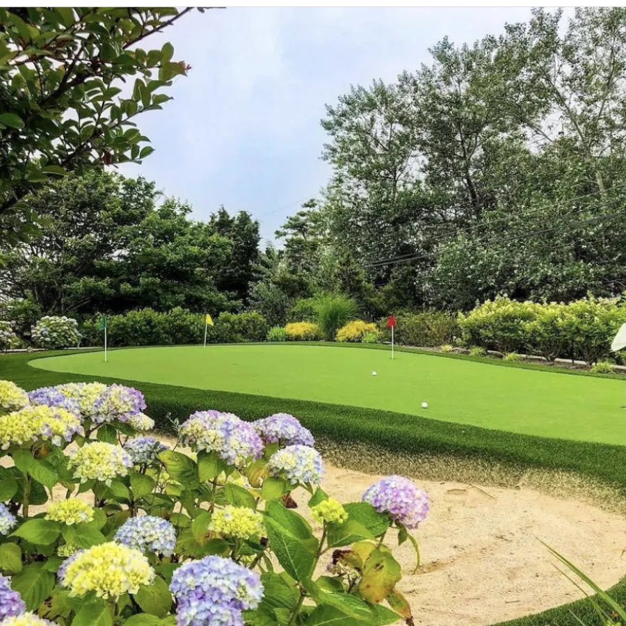 a garden with flowers