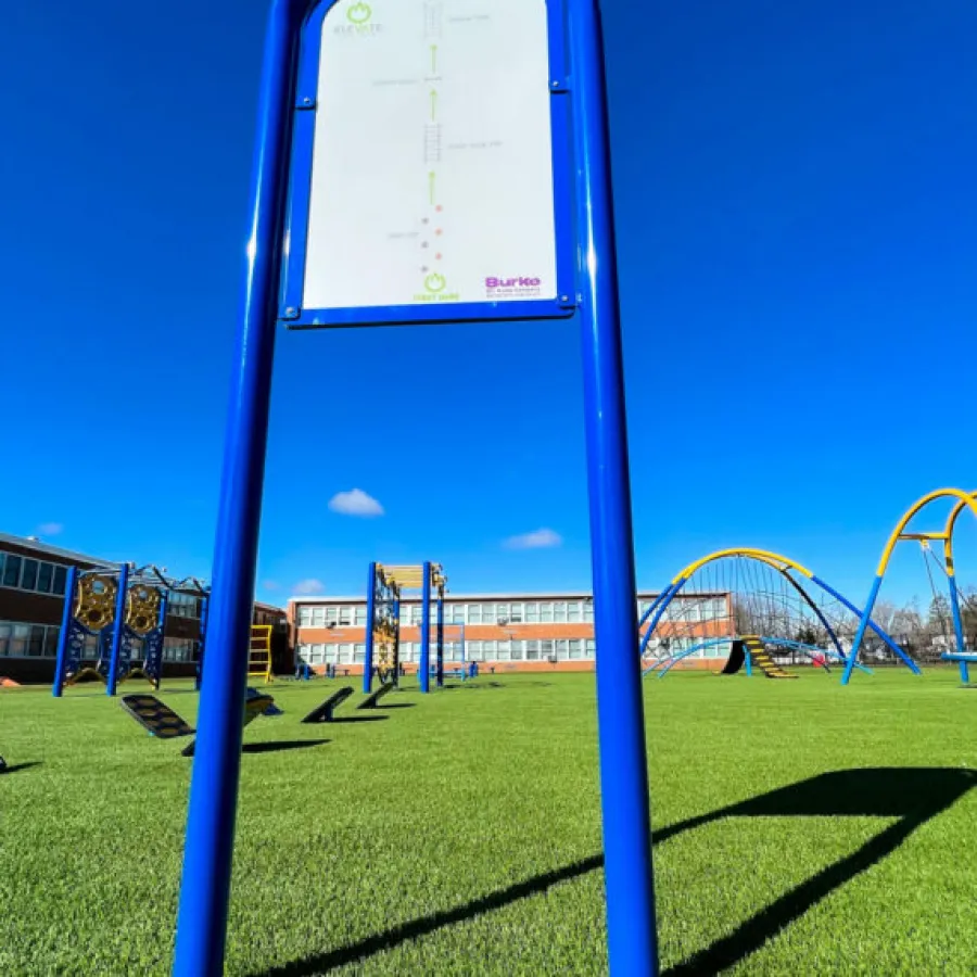 a basketball hoop in a field