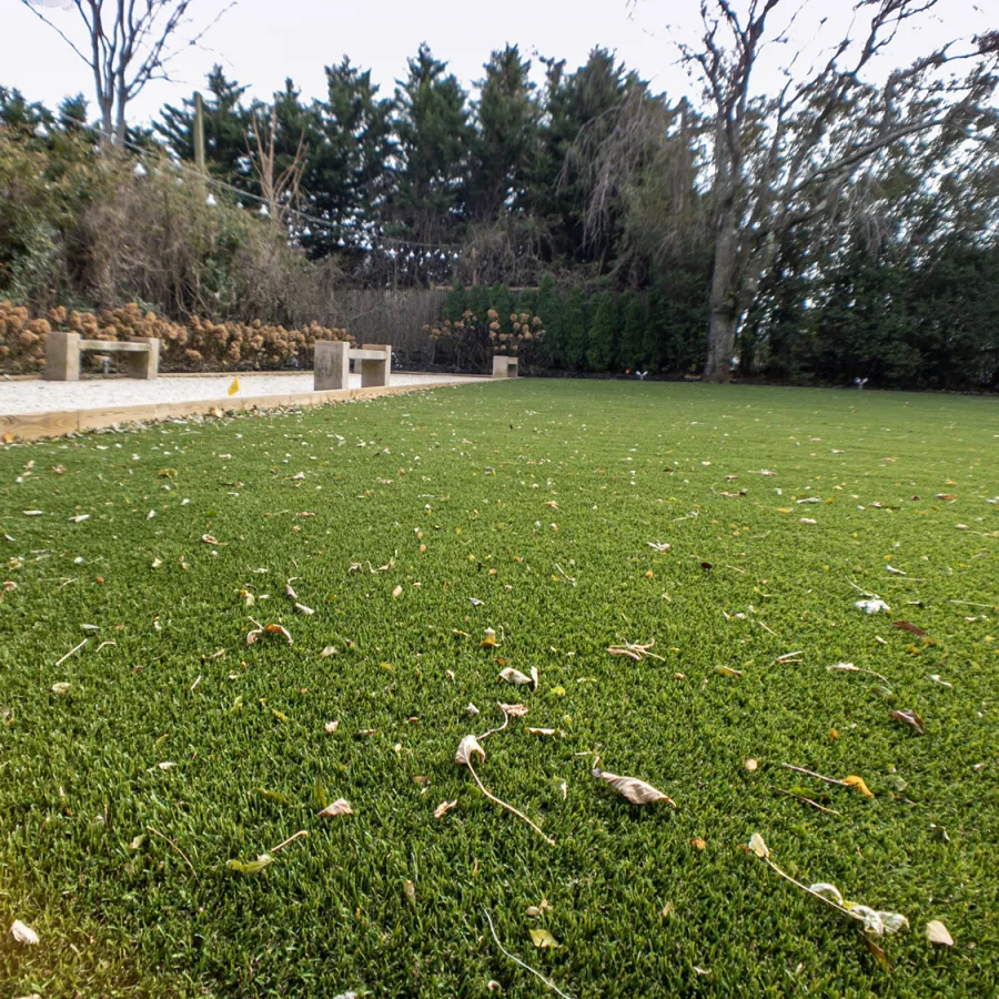 a grassy area with trees in the background