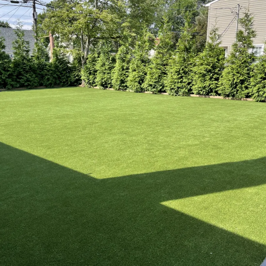 a grassy area with trees in the back