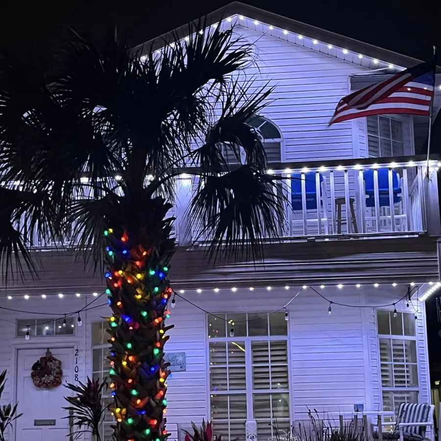 a tree with lights and ornaments in front of a building