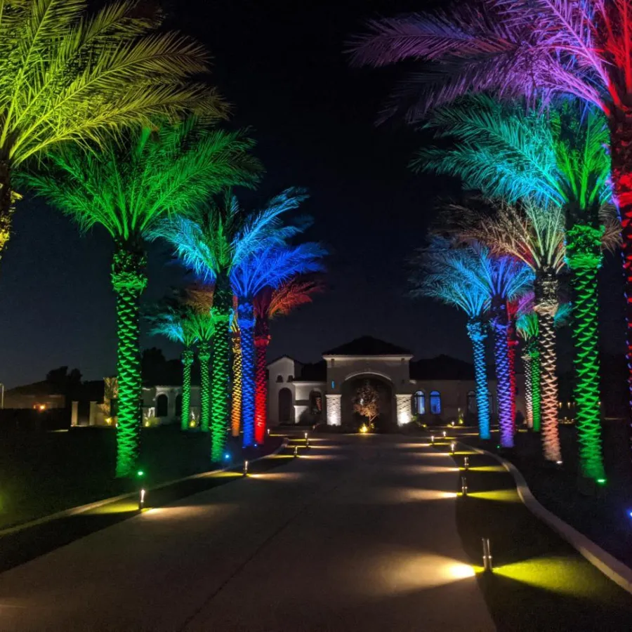 a road with palm trees and a building with lights on the side