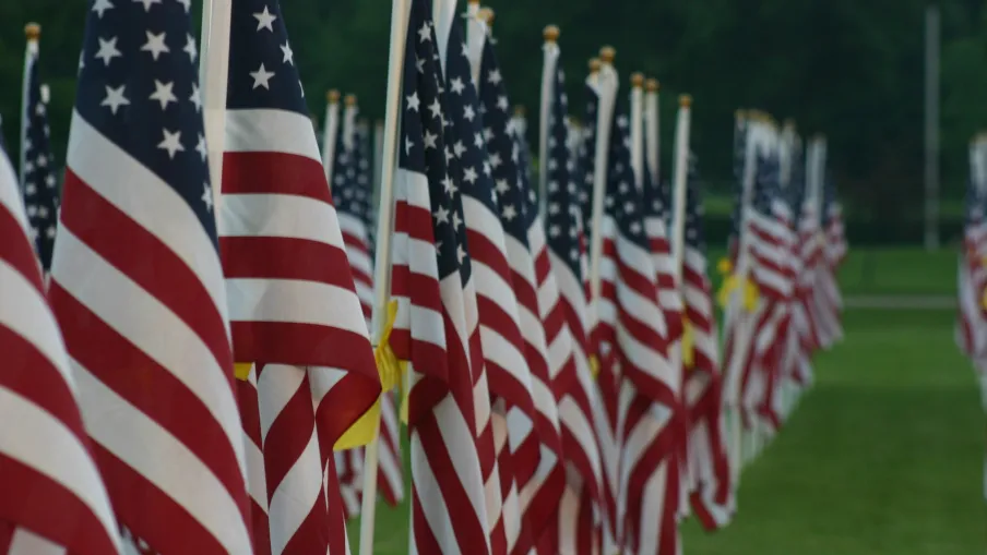 Rows of American flags displayed outdoors with green grass and trees in the background.