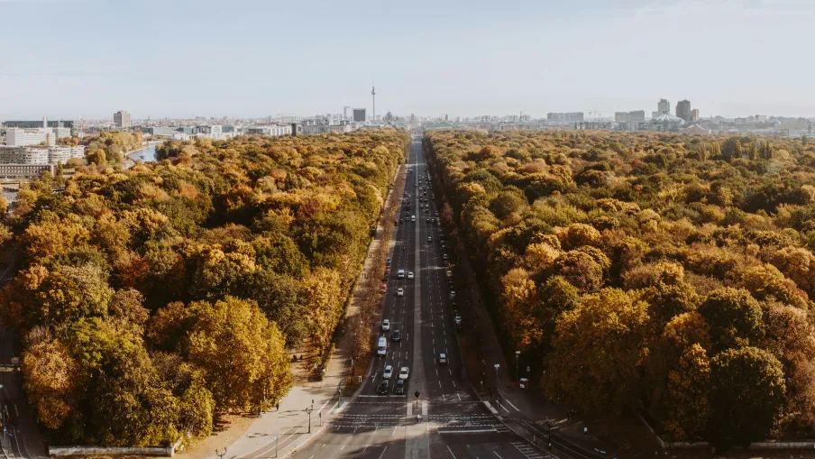 Aerial view of a wide road cutting through autumnal trees with a city skyline in the background under clear skies