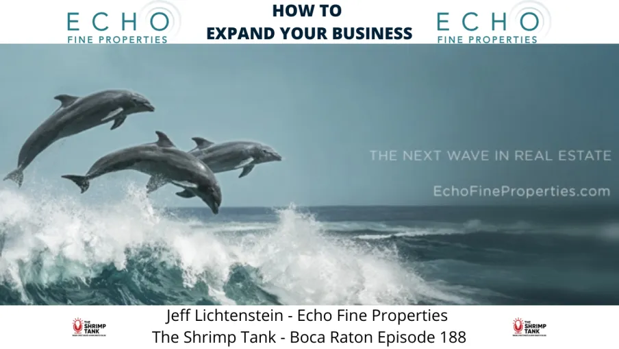 a group of dolphins jumping out of the water