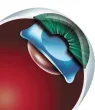 Timeline image for 2002