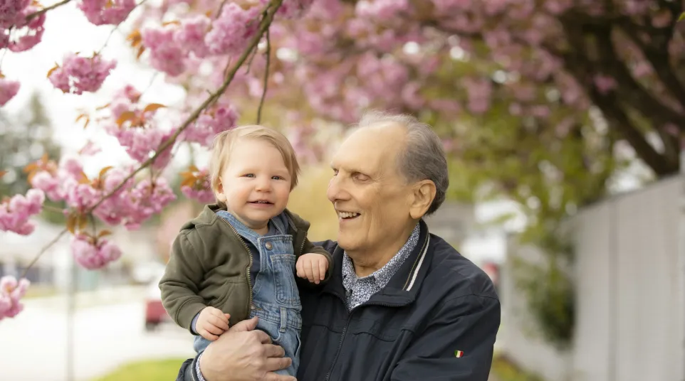 Smiling grandfather holding toddler under blooming pink cherry blossoms on a sunny day outdoors