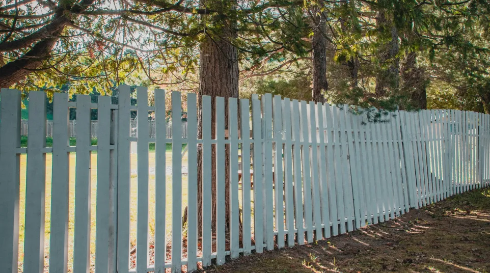 White picket fence casting striped shadows over leaf-strewn ground under tall green trees in sunlight.