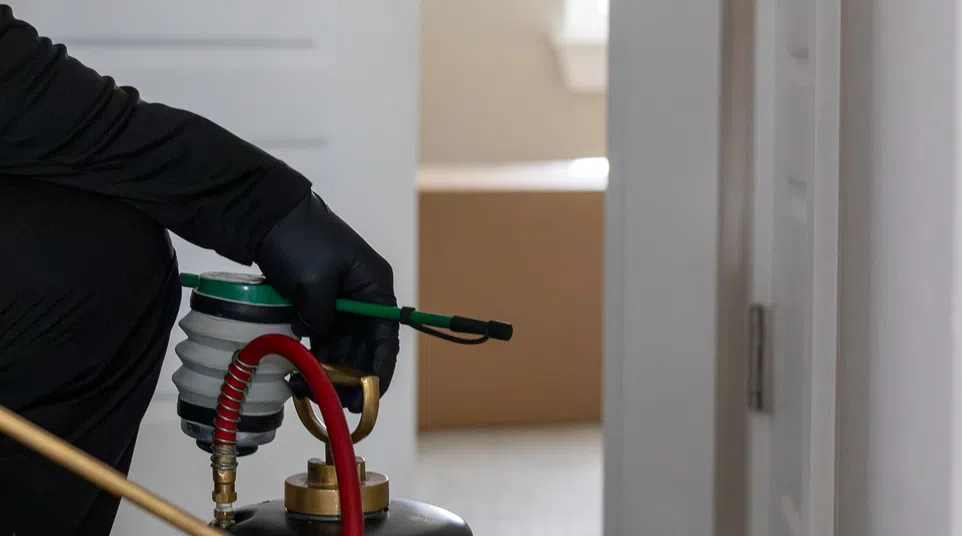 Pest control technician in black gloves holding sprayer wand with metal pesticide tank on floor indoors