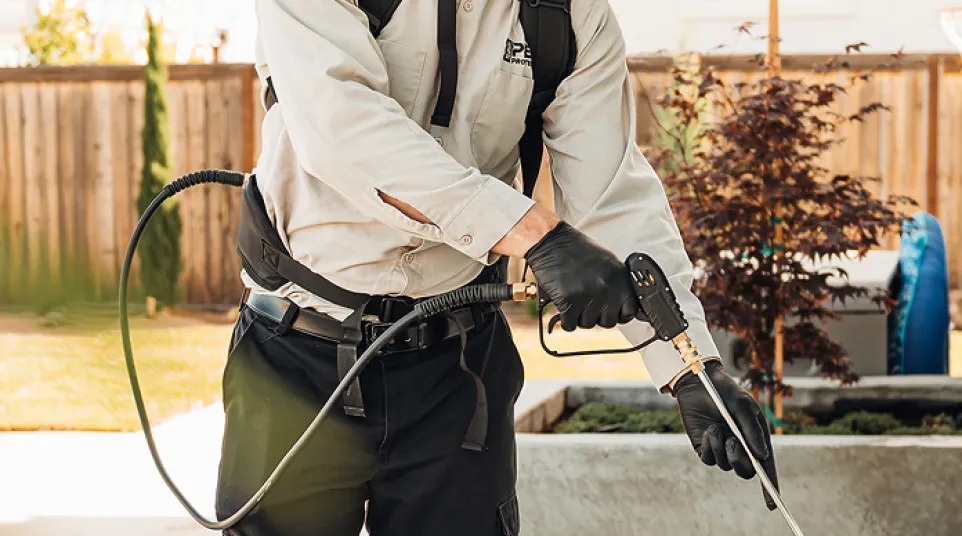Pest control technician spraying insecticide on garden plants wearing uniform and protective gloves outdoors.