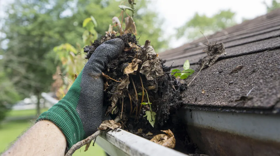 Men in Kilts Kamloops removing moss and debris from a roof and gutter in BC