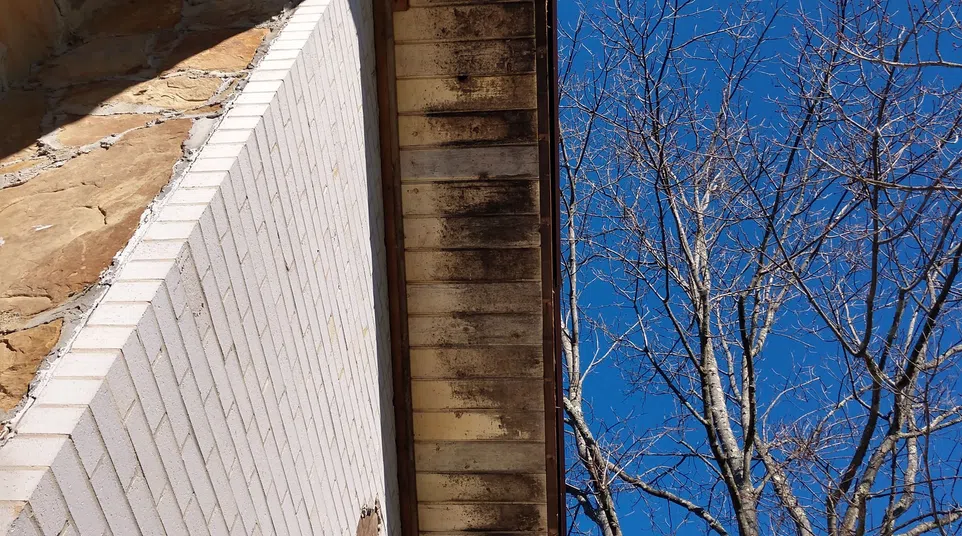 View looking up at a building corner with white brick and wooden eaves next to a leafless tree under a clear blue sky.