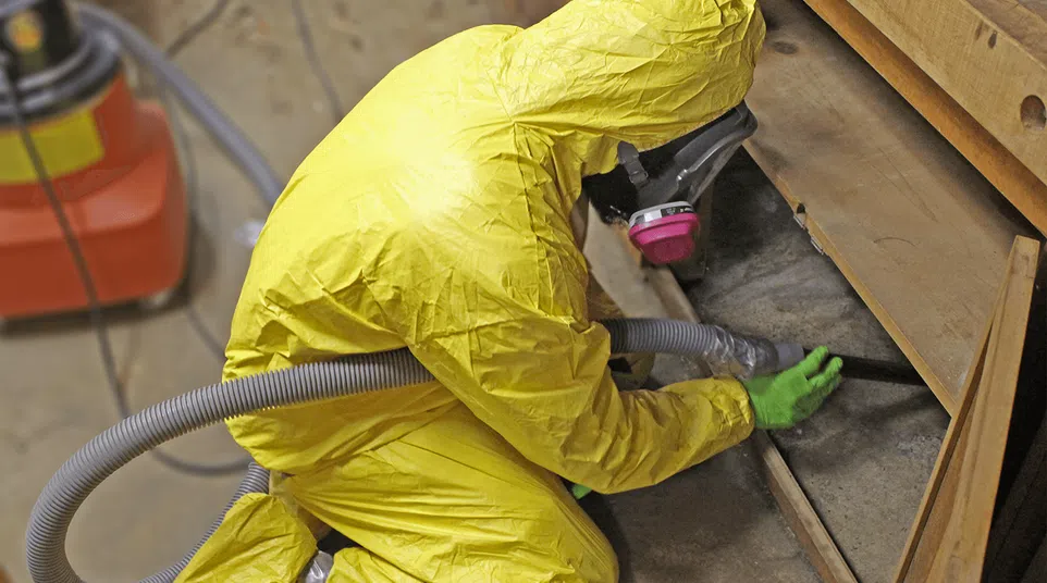 Worker in yellow hazmat suit and mask removing insulation material with vacuum in crawl space.