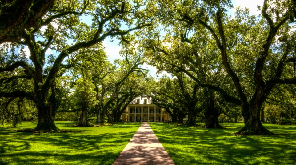a path leading to a building