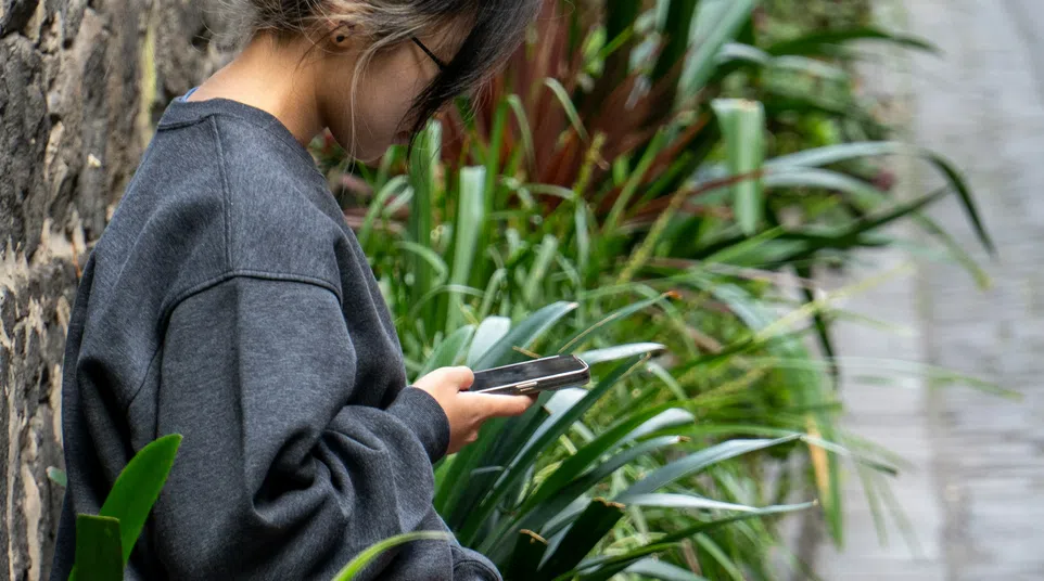 Person sitting by a stone wall, surrounded by green plants, looking at their smartphone outdoors.